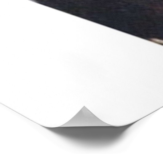 Show Rodman Poster (Hoek)