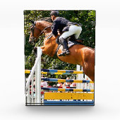 SHOW SPRINGEN FOTOBLOKKEN (Voorkant)