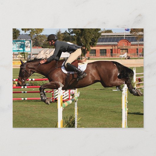 Show springpaard en rijder 2 briefkaart (Voorkant)