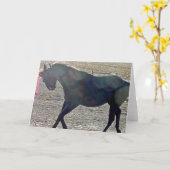 Show uit kaart (Gele Bloem)