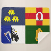 Show uit uw kleuren - Arms of Ireland Sherpa Deken (Voorkant (horizontaal))