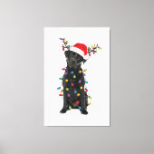 Show uw liefde voor Cincinnati honkbal en Ely De Canvas Afdruk (Voorkant)