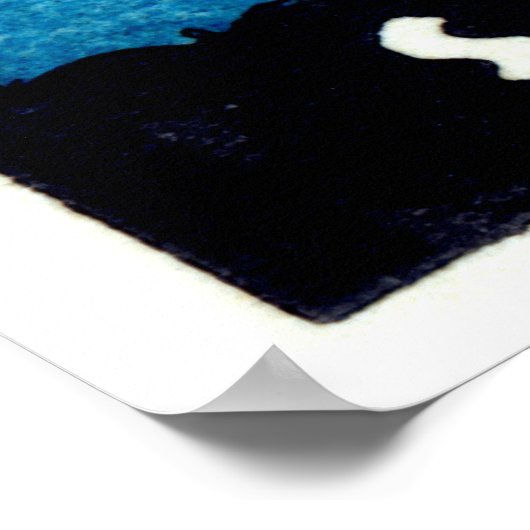 show van 1930 St. Louis Air Poster (Hoek)