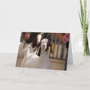 Show van boergeit kaart