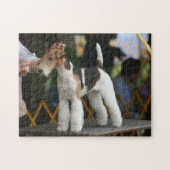 Show van drager fox terrier legpuzzel (Horizontaal)