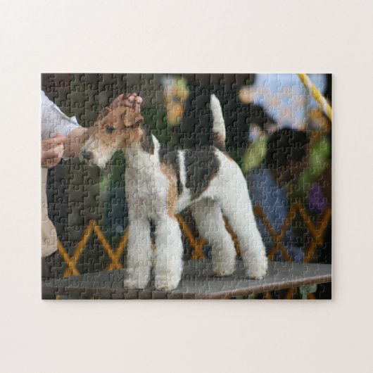 Show van drager fox terrier legpuzzel (Horizontaal)