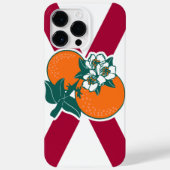 Show van je kleuren - Florida Case-Mate iPhone Case (Achterkant)