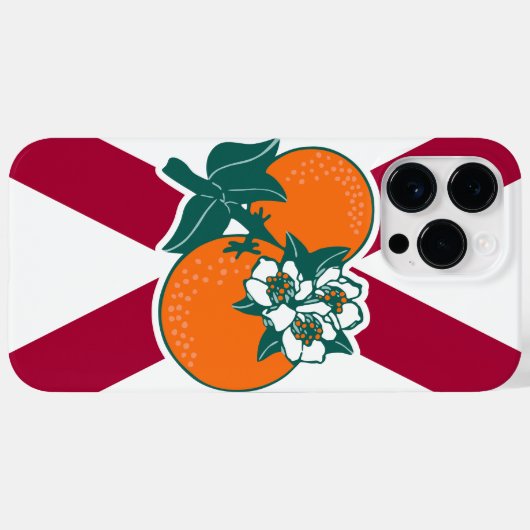 Show van je kleuren - Florida Case-Mate iPhone Case (Achterkant (horizontaal))