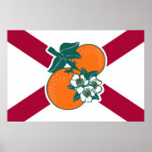 Show van je kleuren - Florida Poster (Voorkant)