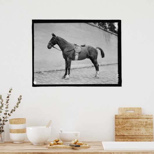 Show van paarden 1912 poster (Keuken)