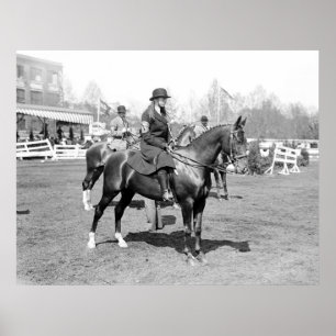 Show van paarden, 1914 poster