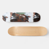 Show van paardenpaarden skateboard (Horizontaal)