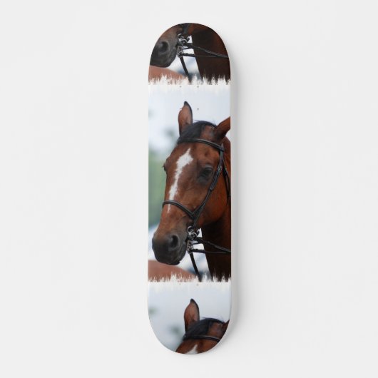 Show van paardenpaarden skateboard (Voorkant)