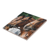 Show van paardenpaarden tegeltje (Zijkant)