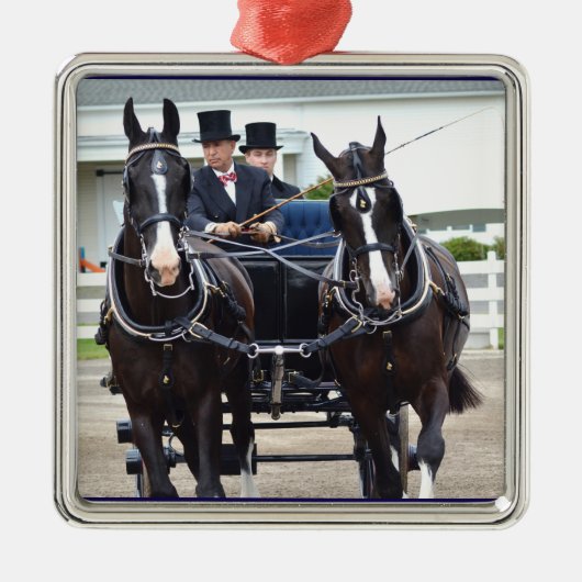 show van walnotenheuvel metalen ornament (Voorkant)