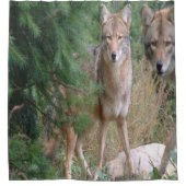 Shower Curtain Coyote Douchegordijn (Voorkant)
