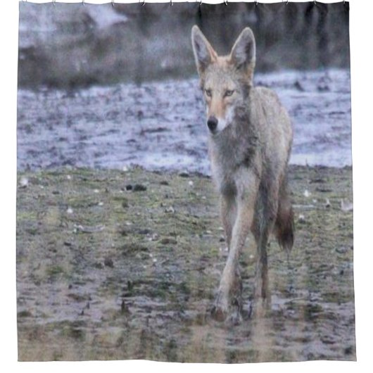 Shower Curtain Coyote Douchegordijn (Voorkant)
