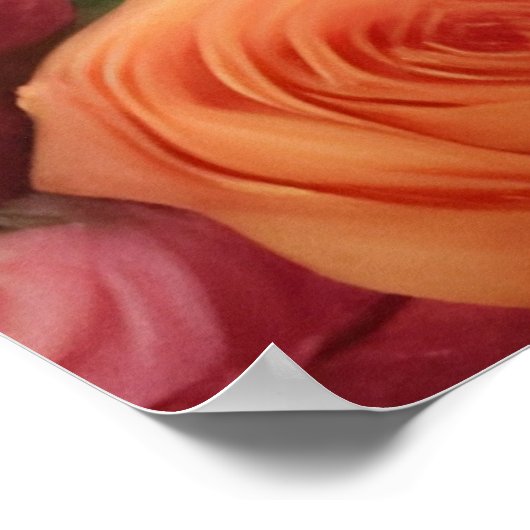 Shower of Rozen Poster (Hoek)