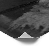 Showgirl - P0000497.JPG Poster (Hoek)