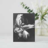 Showgirl — P0000511.JPG Briefkaart (Staand voorkant)