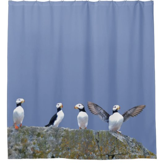 Showgordijn met puffins douchegordijn (Voorkant)