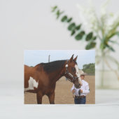 Showmanship Bay Paint Horse Briefkaart (Staand voorkant)