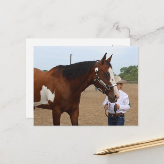 Showmanship Bay Paint Horse Briefkaart (Voorkant / Achterkant in situ)