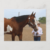 Showmanship Bay Paint Horse Briefkaart (Voorkant)