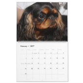 SHOWS KALENDER (Feb 2027)