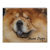 SHOWS KALENDER (Hoes)