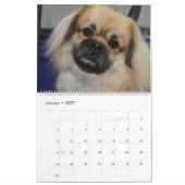 SHOWS KALENDER (Jan 2027)