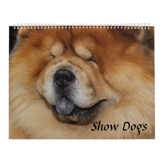 SHOWS KALENDER (Hoes)