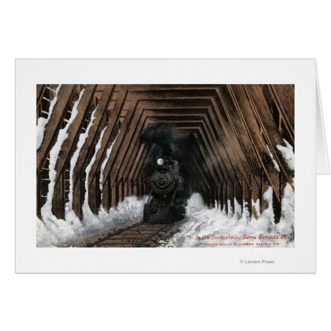 Showsheds Railroad (Voorkant Horizontaal)