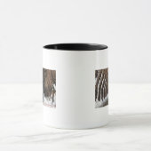 Showsheds Railroad Mok (Midden)