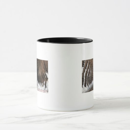 Showsheds Railroad Mok (Midden)