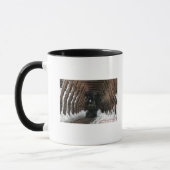 Showsheds Railroad Mok (Links)