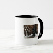 Showsheds Railroad Mok (Voorkant rechts)