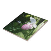 Showy Lady's Slipper Tegeltje (Zijkant)