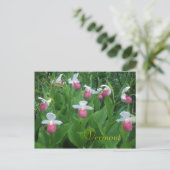 Showy Lady's Slippers Briefkaart (Staand voorkant)