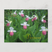 Showy Lady's Slippers Briefkaart (Voorkant)
