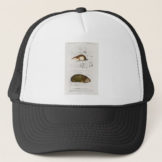 Shrew en Golden mole Trucker Pet (Voorkant)