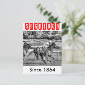 Shrewd One van Smarty Jones Briefkaart (Staand voorkant)
