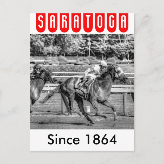 Shrewd One van Smarty Jones Briefkaart (Voorkant)