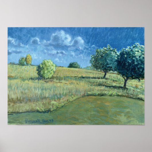 'Shrewsbury Apple Trees 1993' Print (Voorkant)