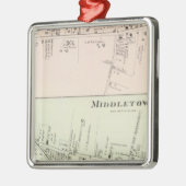 Shrewsbury Middletown, New Jersey Metalen Ornament (Links)