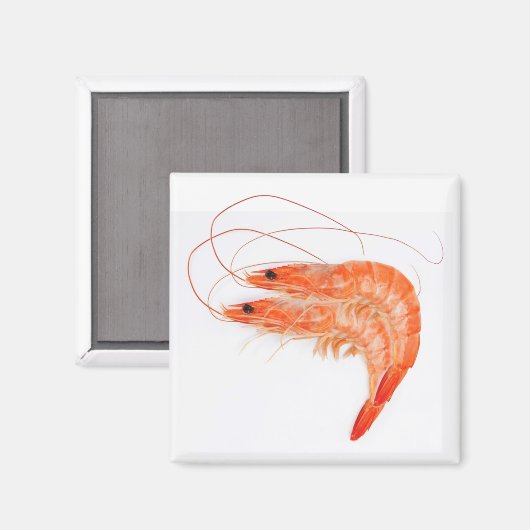 Shrimp Lovers Magneet (Voorkant / Achterkant)