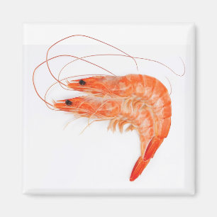 Shrimp Lovers Magneet