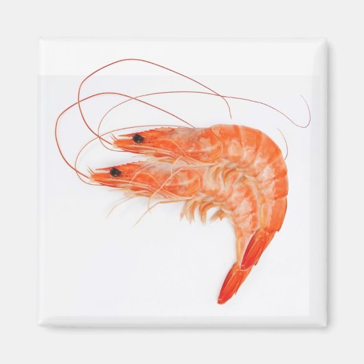 Shrimp Lovers Magneet (Voorkant)