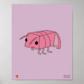 Shrimp Poster Limited (Voorkant)