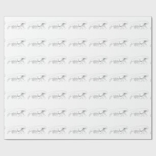 Shrimp Wrapping Paper Cadeaupapier